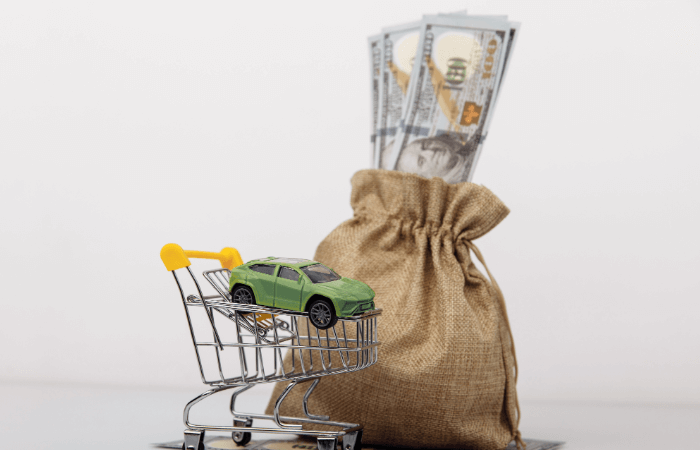 Title Loans in Louisiana