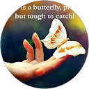 naseer Naseer S.