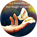 naseer Naseer S.