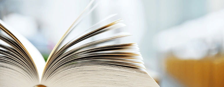 Car Title Loan Terms